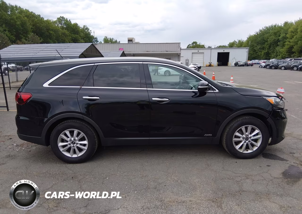 2019 Kia Sorento 2.4L Lx VIN:5XYPGDA30KG457530 - 13