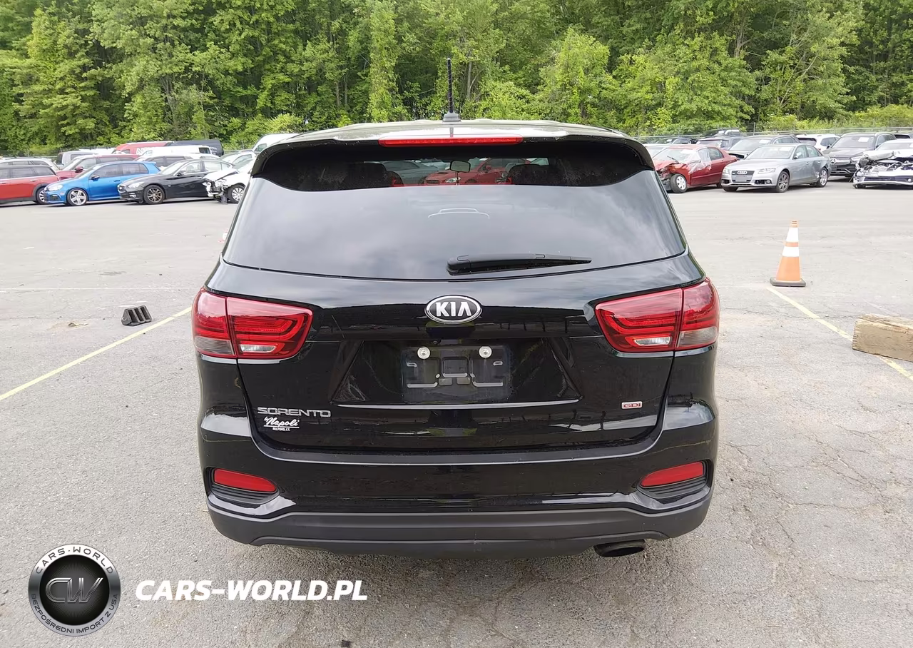 2019 Kia Sorento 2.4L Lx VIN:5XYPGDA30KG457530 - 16