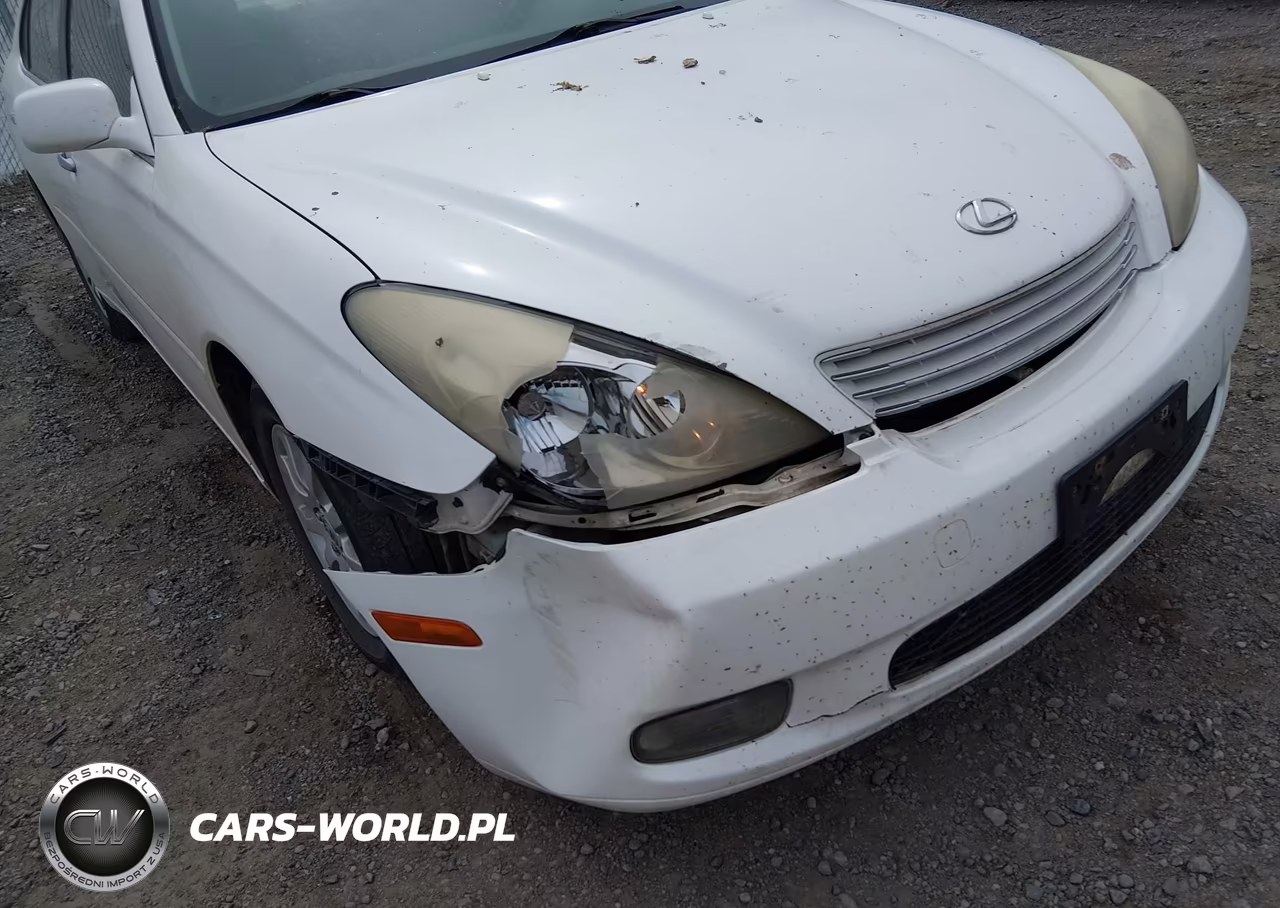 2004 Lexus Es 330 VIN:JTHBA30G445005259 - 6