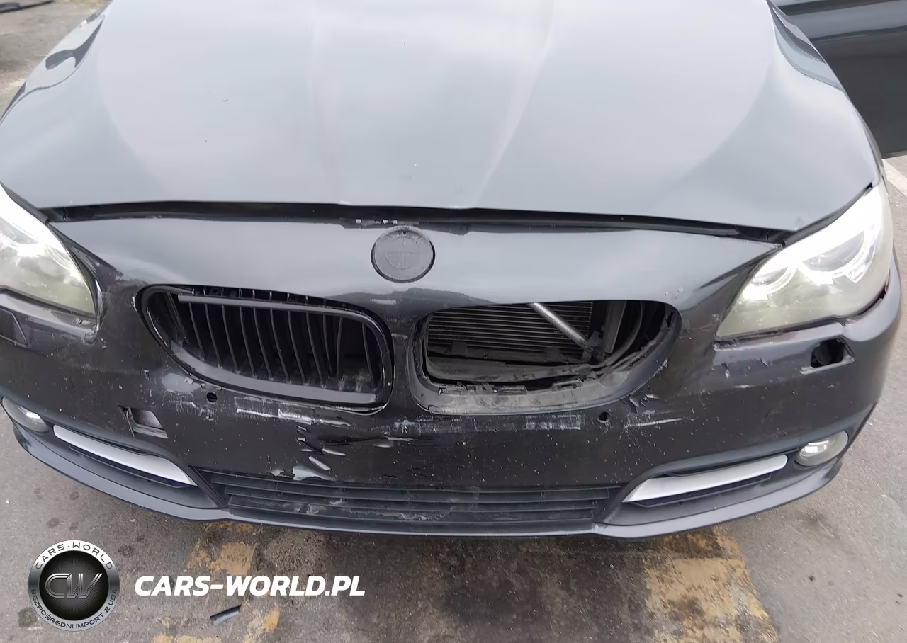 2016 BMW 535I VIN:WBA5B1C50GG132459 - 6