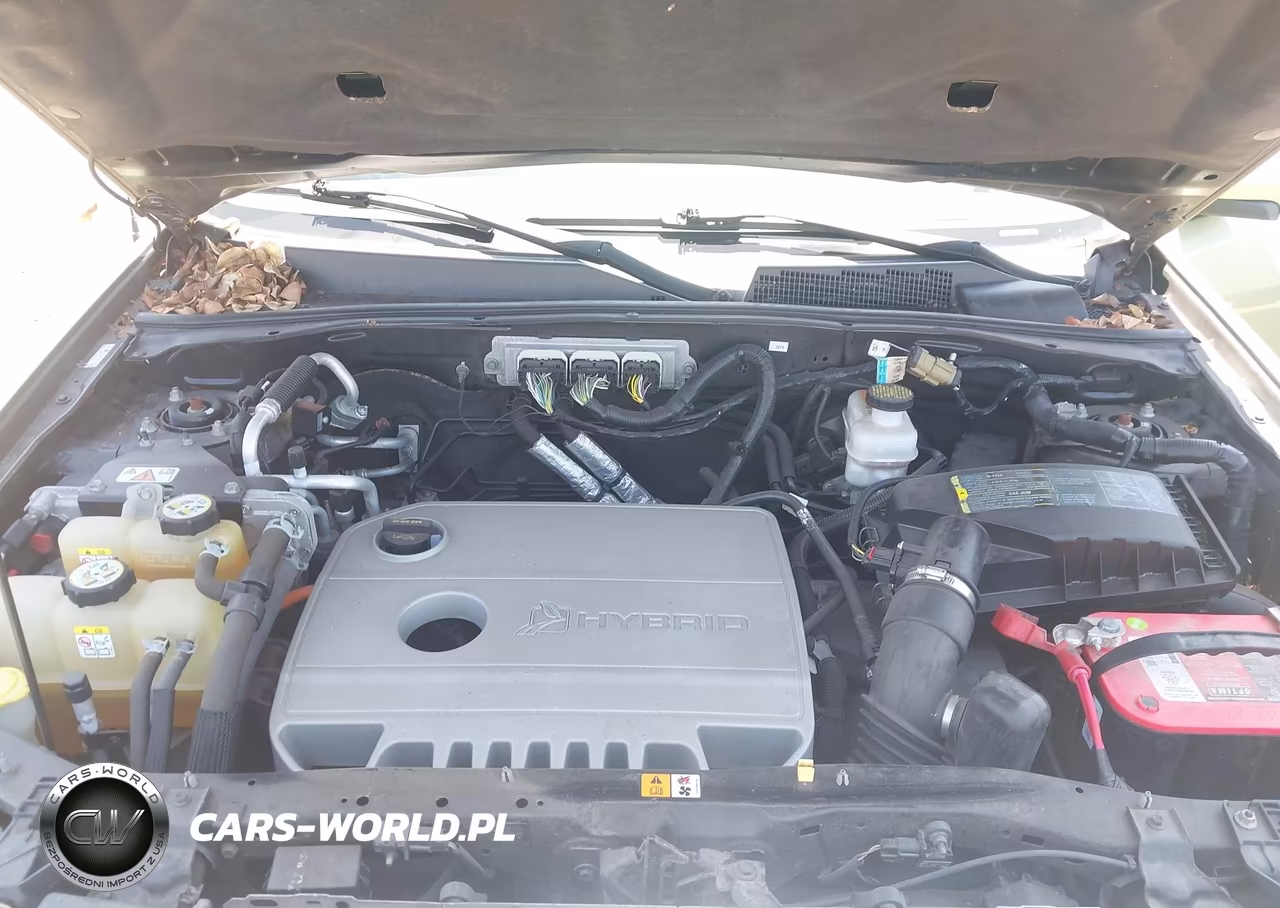 2009 Ford Escape Hybrid Limited VIN:1FMCU493X9KB20519 - 10