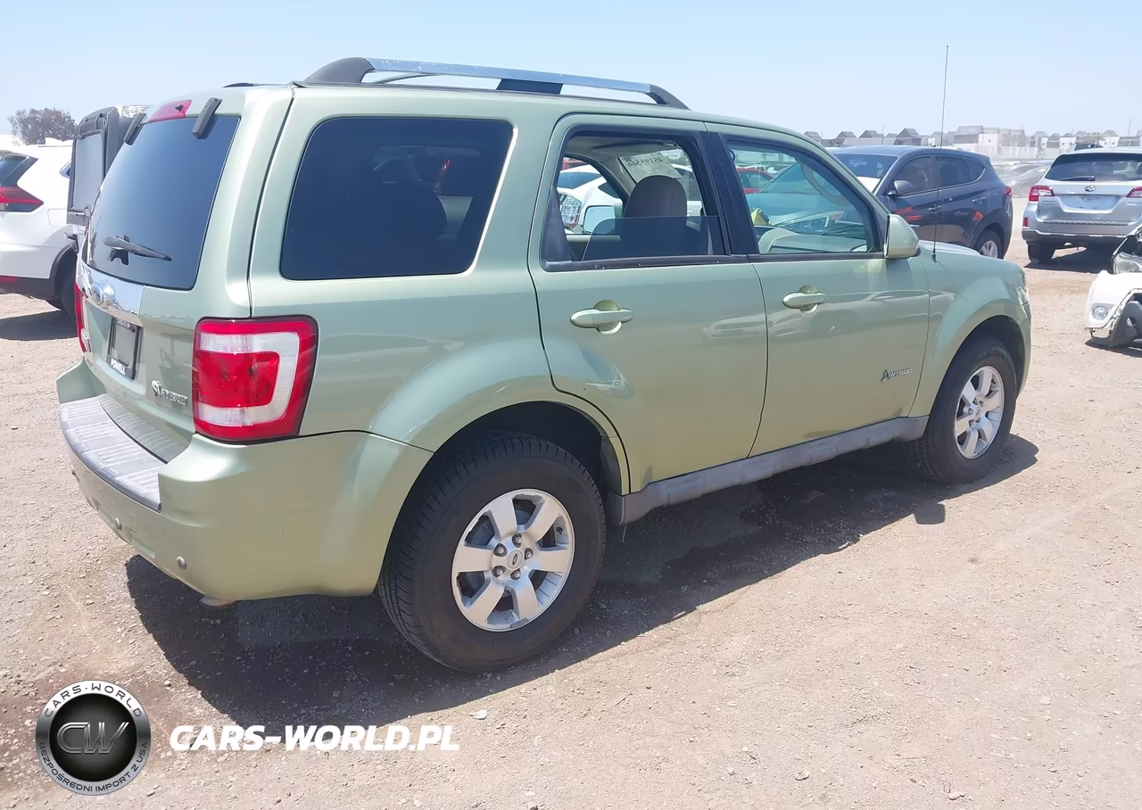 2009 Ford Escape Hybrid Limited VIN:1FMCU493X9KB20519 - 4
