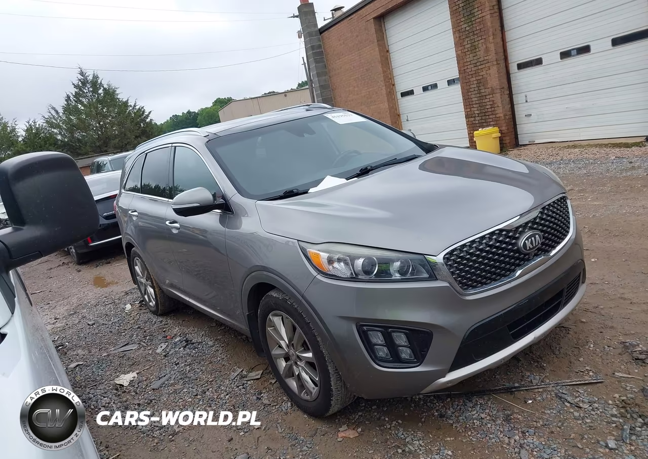 2018 Kia Sorento 3.3L Sxl VIN:5XYPK4A51JG378933 - 13