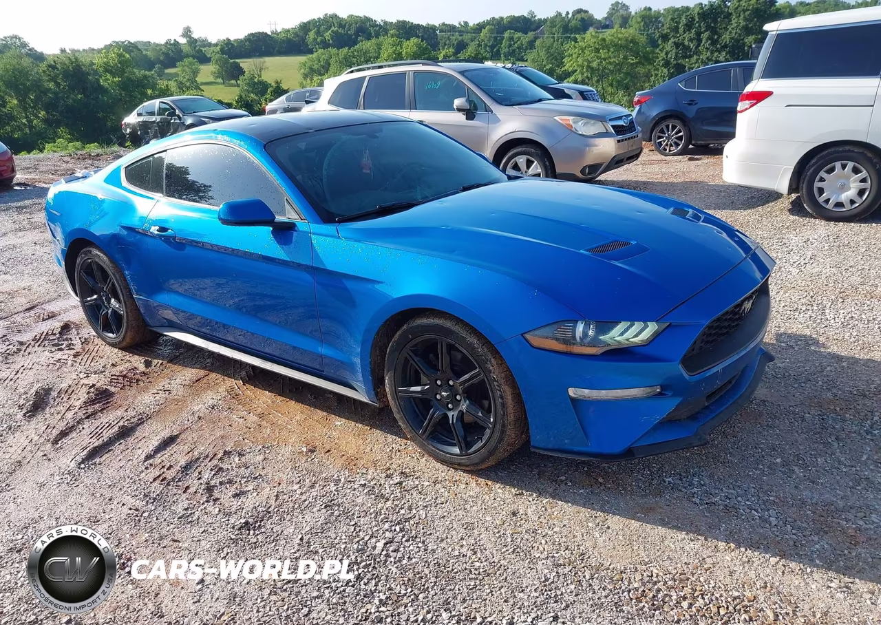 2019 Ford Mustang Ecoboost