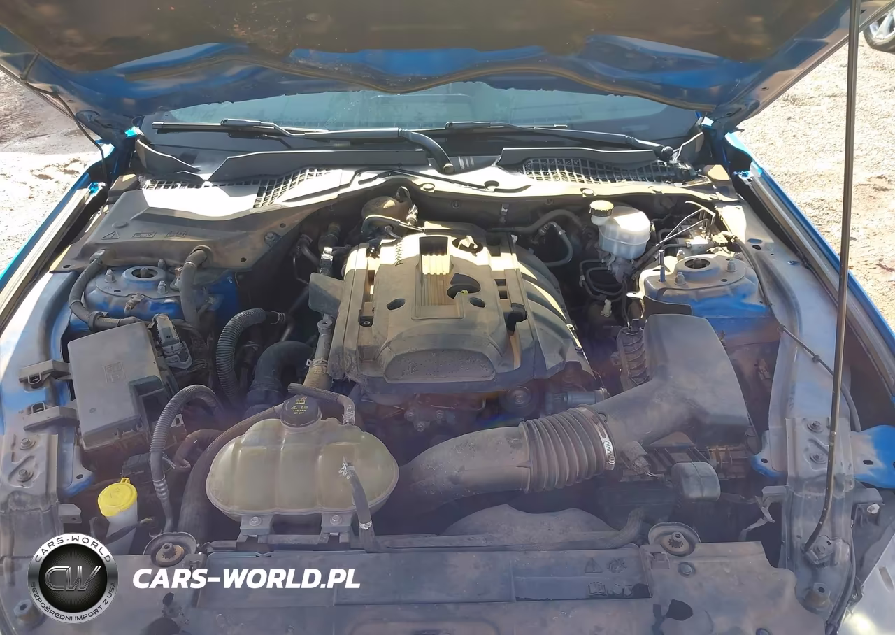 2019 Ford Mustang Ecoboost VIN:1FA6P8TH6K5202052 - 10
