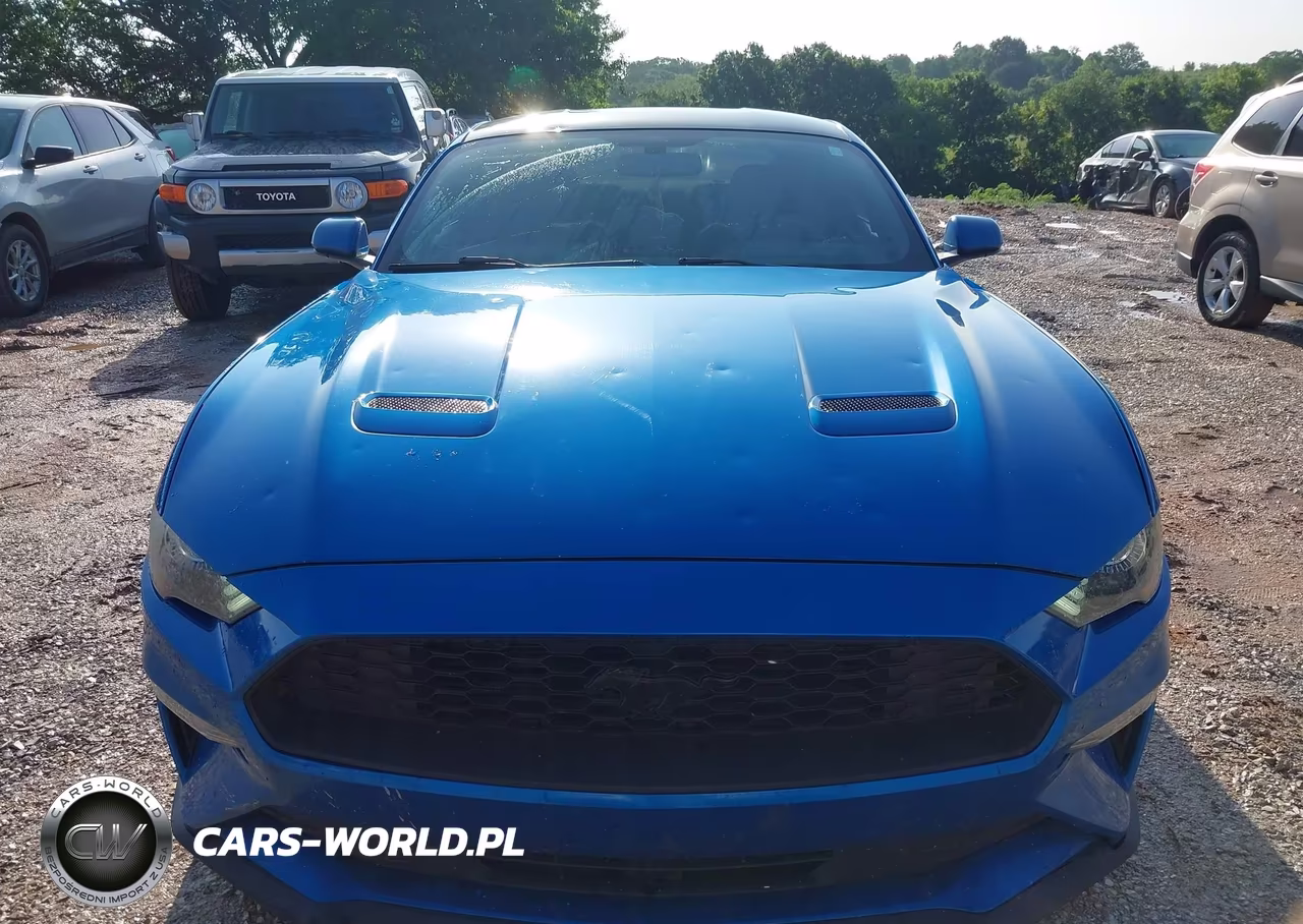 2019 Ford Mustang Ecoboost VIN:1FA6P8TH6K5202052 - 12