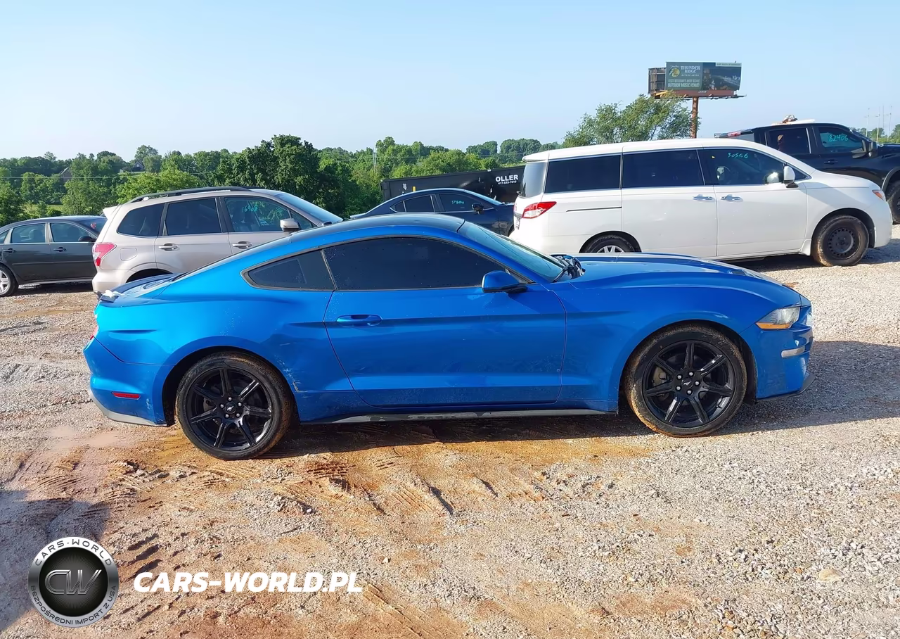 2019 Ford Mustang Ecoboost VIN:1FA6P8TH6K5202052 - 13