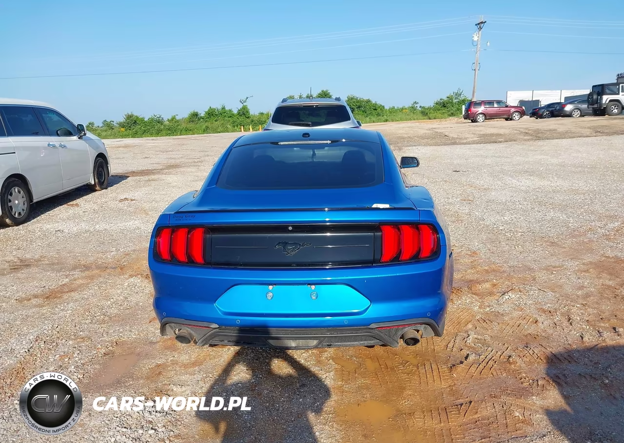 2019 Ford Mustang Ecoboost VIN:1FA6P8TH6K5202052 - 16