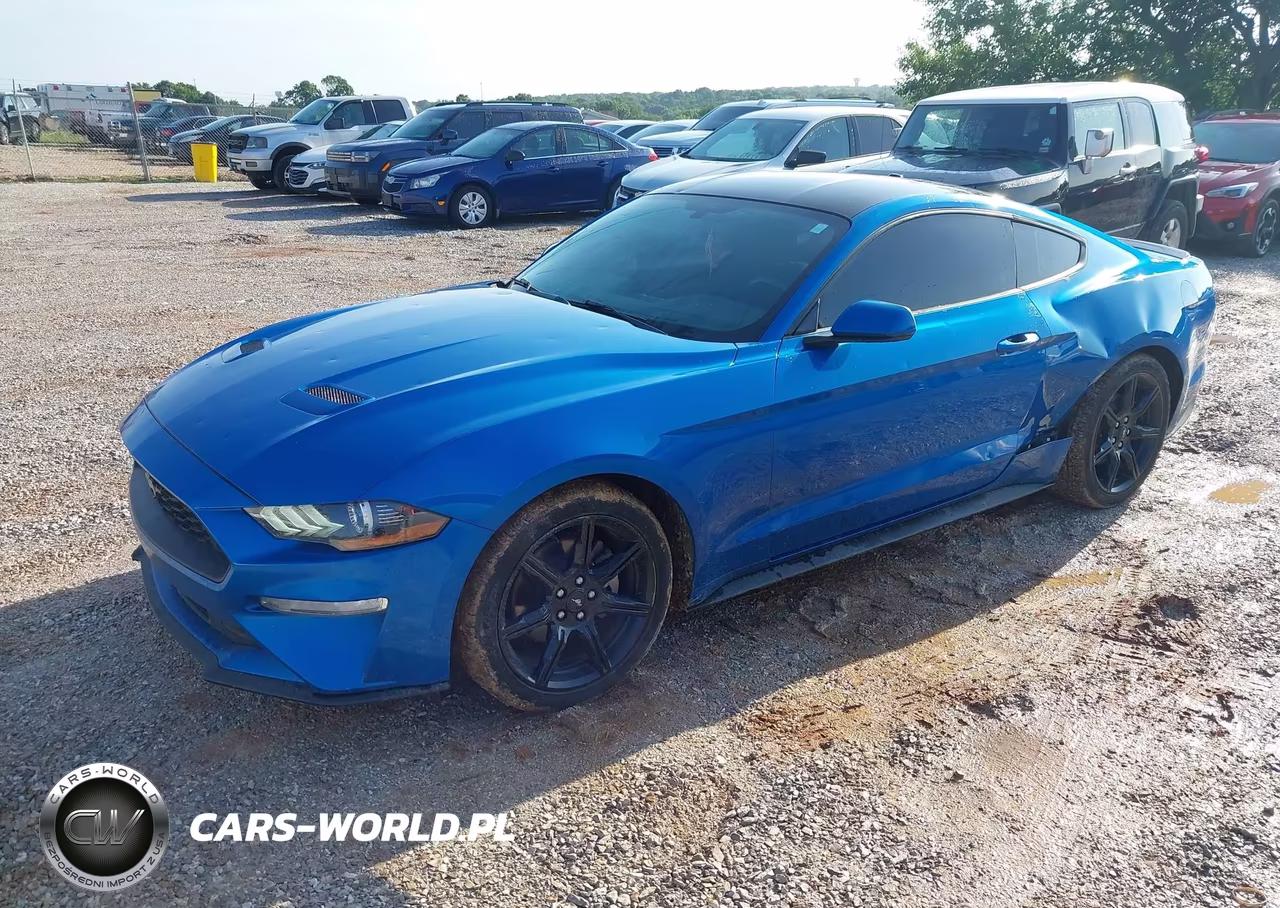 2019 Ford Mustang Ecoboost VIN:1FA6P8TH6K5202052 - 2