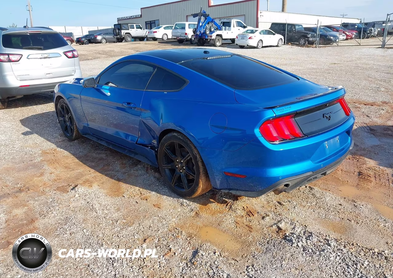 2019 Ford Mustang Ecoboost VIN:1FA6P8TH6K5202052 - 3