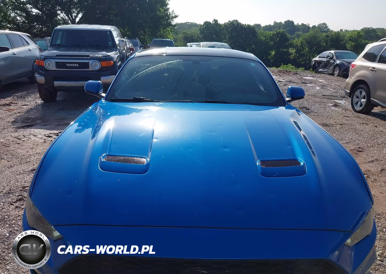 2019 Ford Mustang Ecoboost VIN:1FA6P8TH6K5202052 - 6