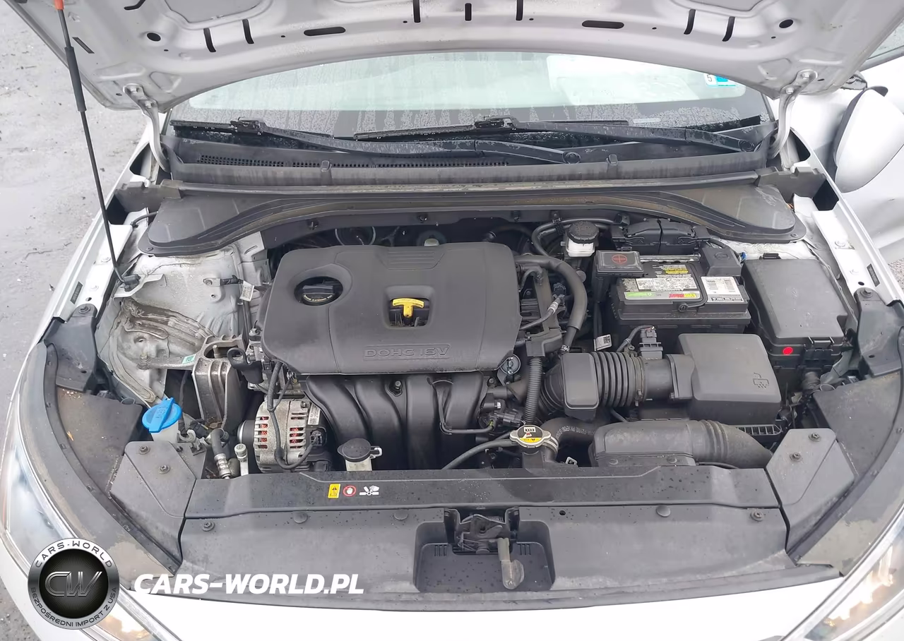 2020 Hyundai Elantra Se VIN:5NPD74LF8LH501875 - 10