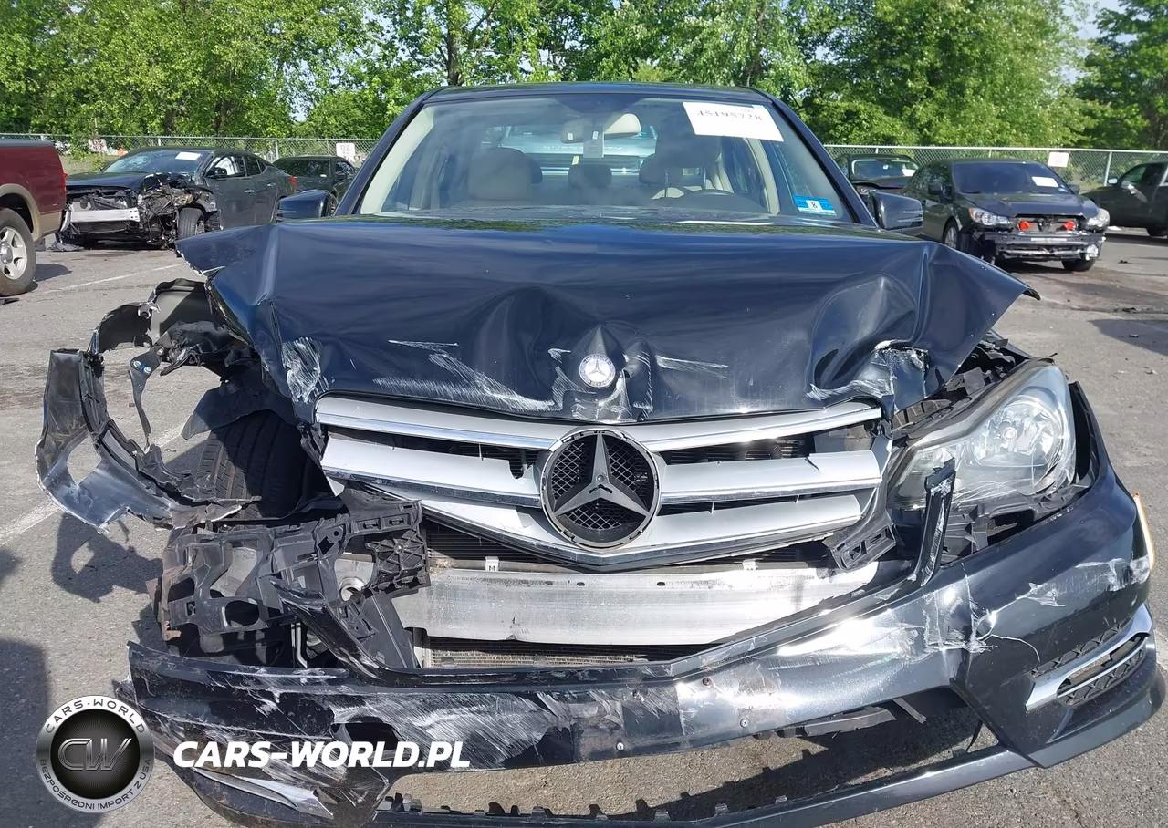 2013 MERCEDES-BENZ C 300 LUXURY 4MATIC-SPORT 4MATIC VIN:WDDGF8ABXDR289715 - 12