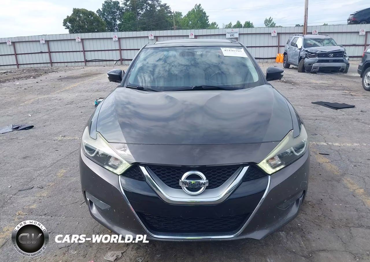 2016 Nissan Maxima 3.5 Platinum VIN:1N4AA6AP3GC392518 - 12