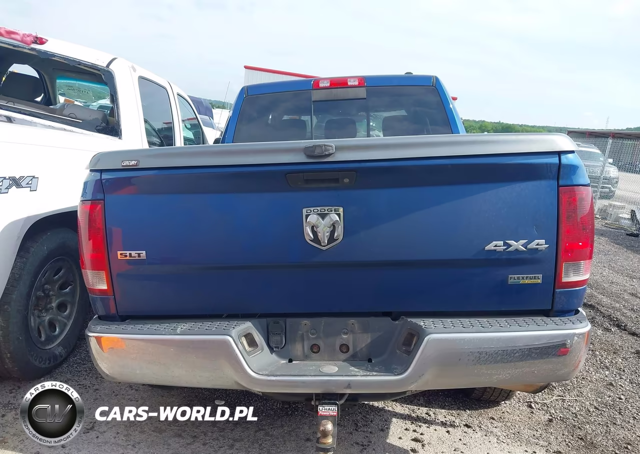 2010 Dodge Ram 1500 Slt-Sport-Trx VIN:1D7RV1CP7AS260527 - 16