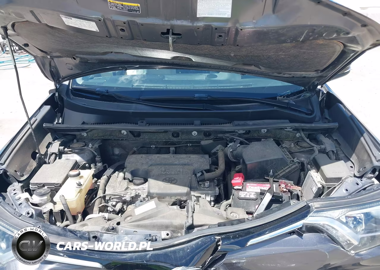 2016 Toyota Rav4 Xle VIN:JTMWFREVXGJ068487 - 10