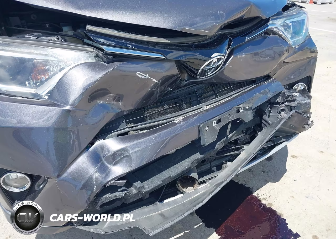 2016 Toyota Rav4 Xle VIN:JTMWFREVXGJ068487 - 20
