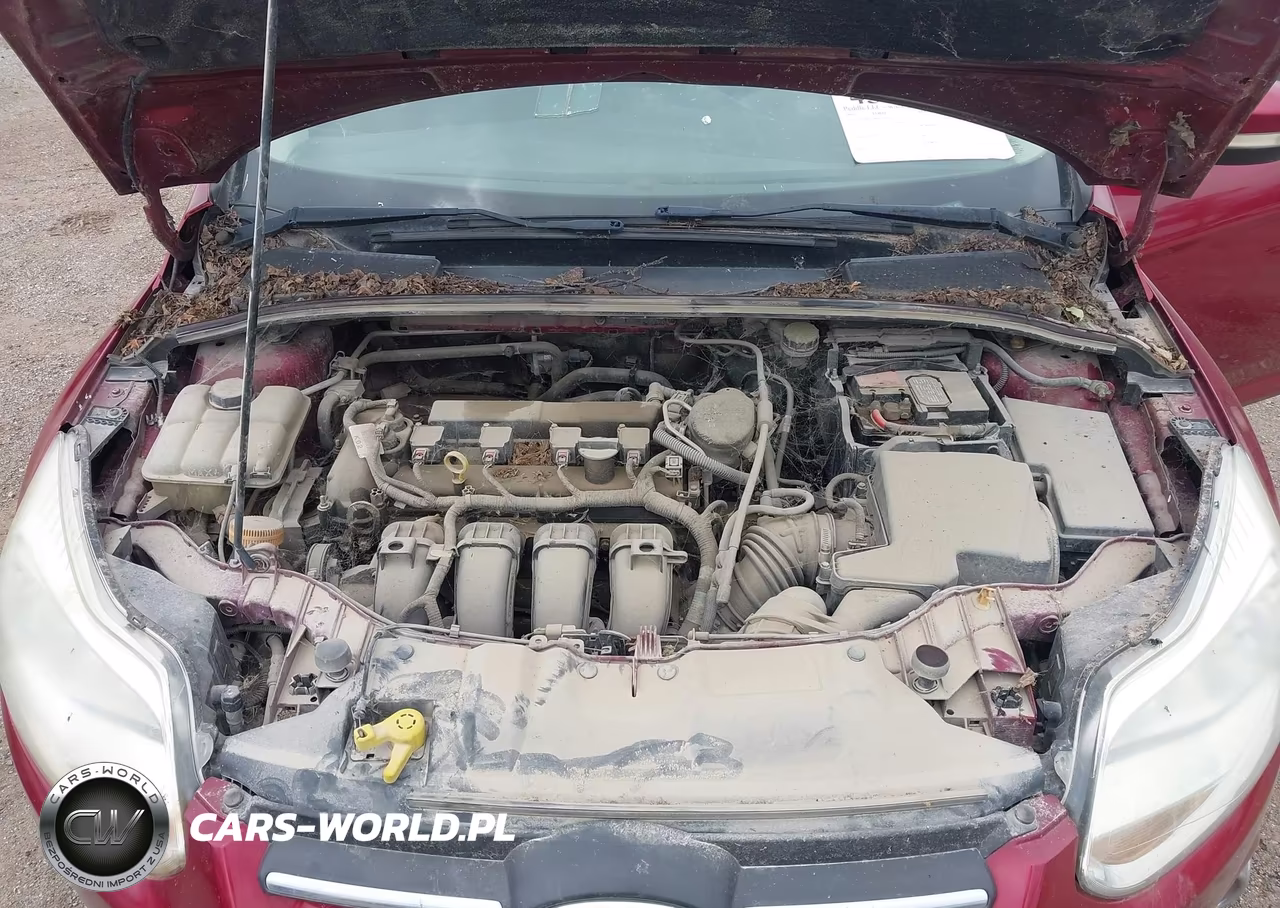2013 Ford Focus Se VIN:1FADP3F24DL115976 - 10