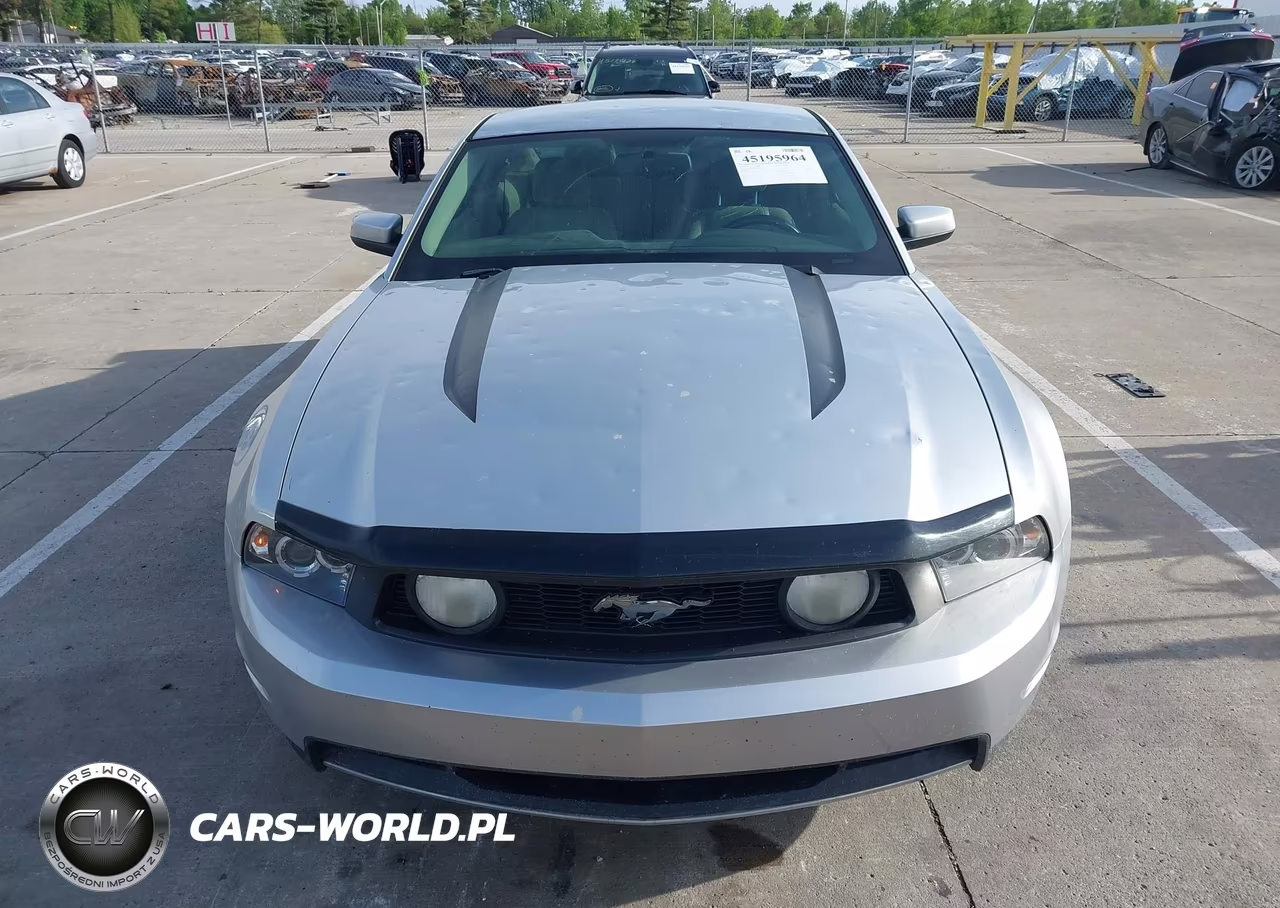 2011 Ford Mustang Gt Premium VIN:1ZVBP8CF6B5133805 - 12
