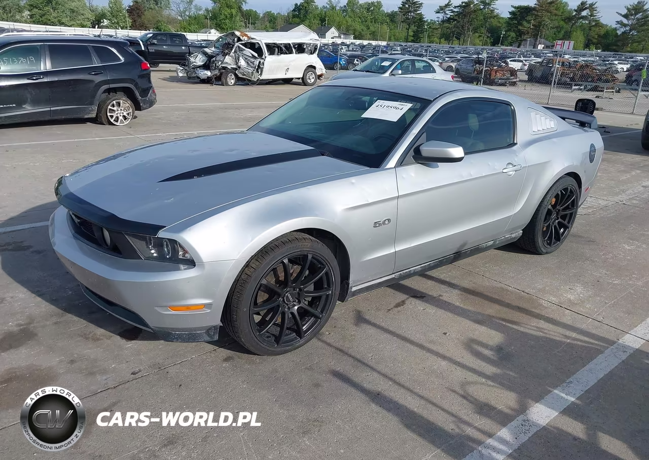 2011 Ford Mustang Gt Premium VIN:1ZVBP8CF6B5133805 - 2