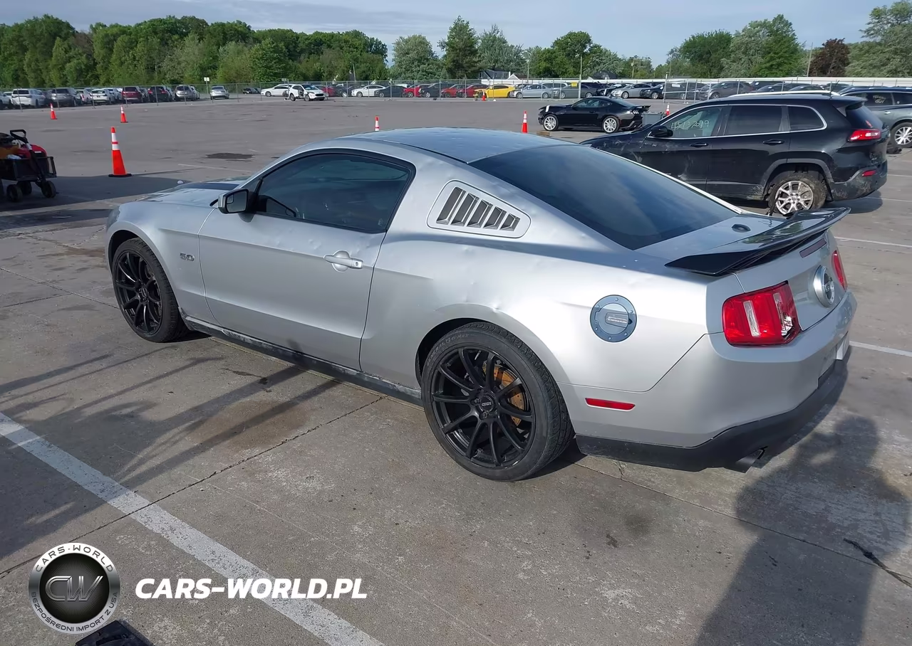 2011 Ford Mustang Gt Premium VIN:1ZVBP8CF6B5133805 - 3