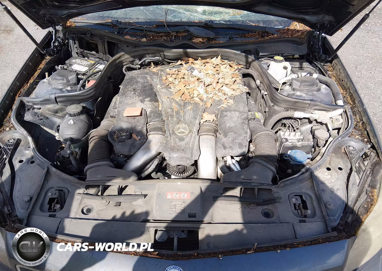 2013 Mercedes-Benz Cls 550 VIN:WDDLJ7DB9DA088888 - 10