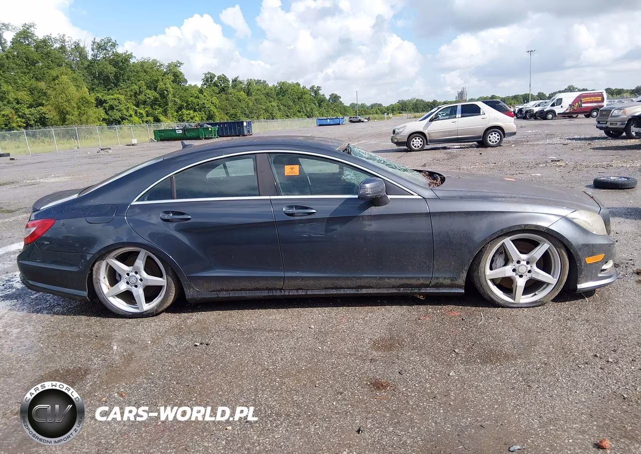 2013 Mercedes-Benz Cls 550 VIN:WDDLJ7DB9DA088888 - 13