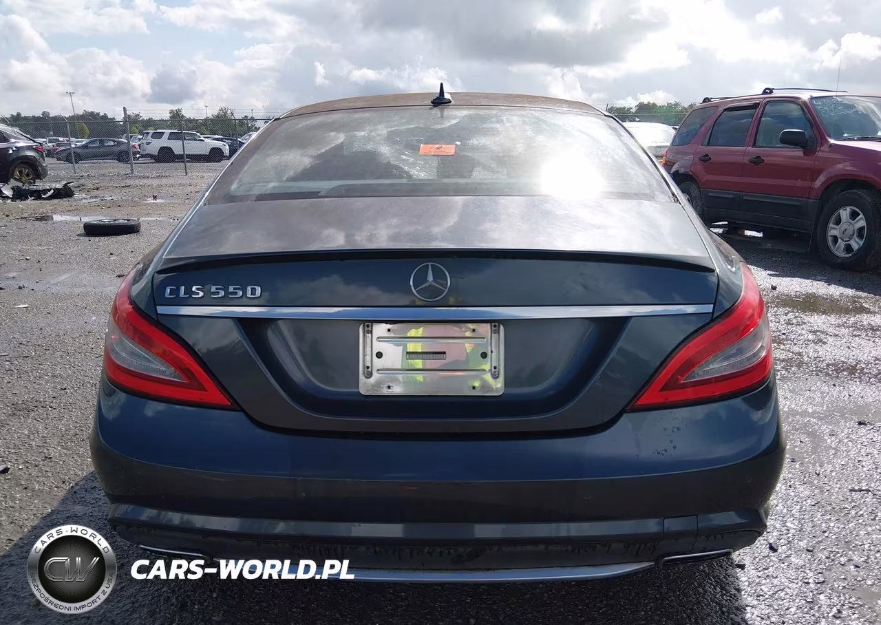 2013 Mercedes-Benz Cls 550 VIN:WDDLJ7DB9DA088888 - 16