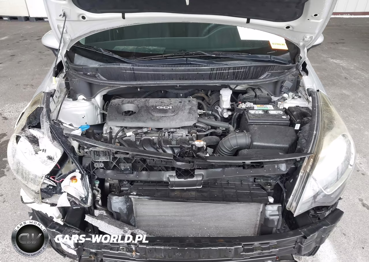 2016 Kia Rio Lx VIN:KNADM4A30G6596060 - 10