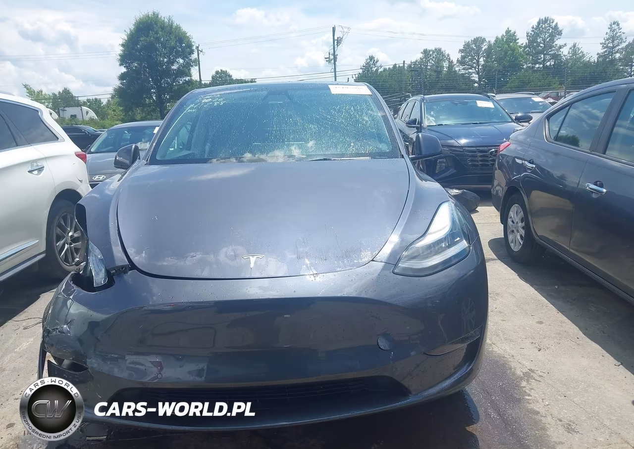 2021 Tesla Model Y Long Range Dual Motor All-Wheel Drive VIN:5YJYGDEE3MF141288 - 12