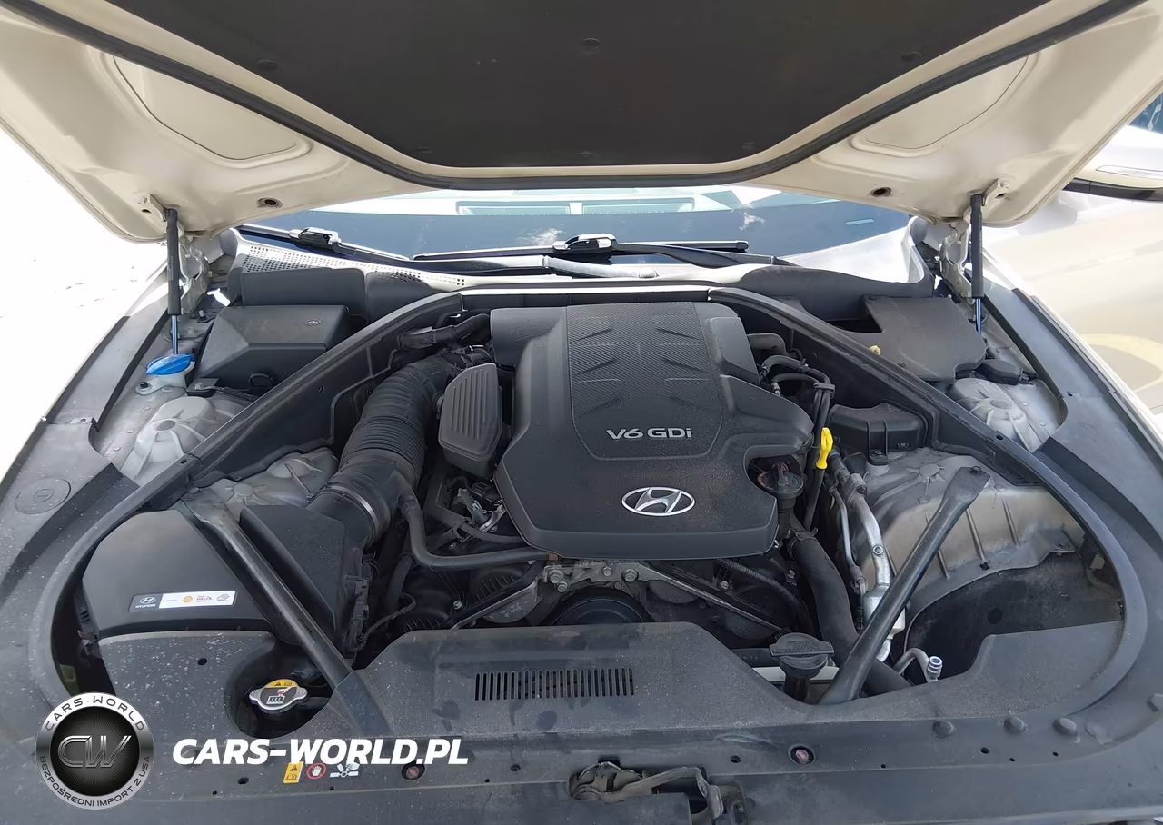 2015 Hyundai Genesis 3.8 VIN:KMHGN4JEXFU087694 - 10
