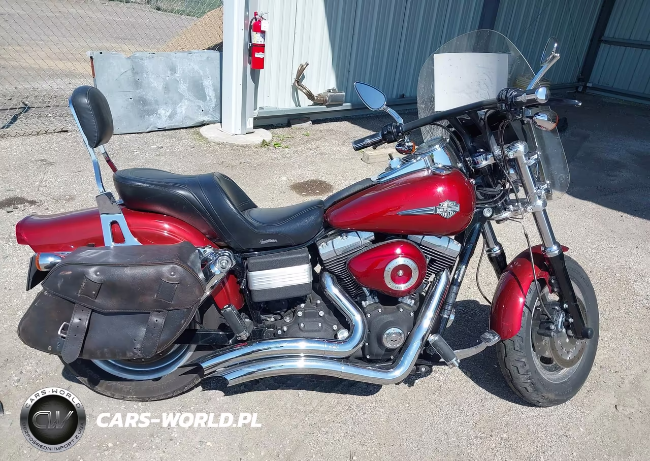 2009 Harley-Davidson Fxdf VIN:1HD1GY4149K307186 - 12