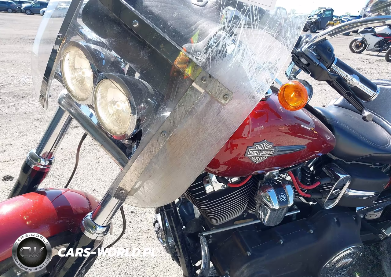 2009 Harley-Davidson Fxdf VIN:1HD1GY4149K307186 - 15