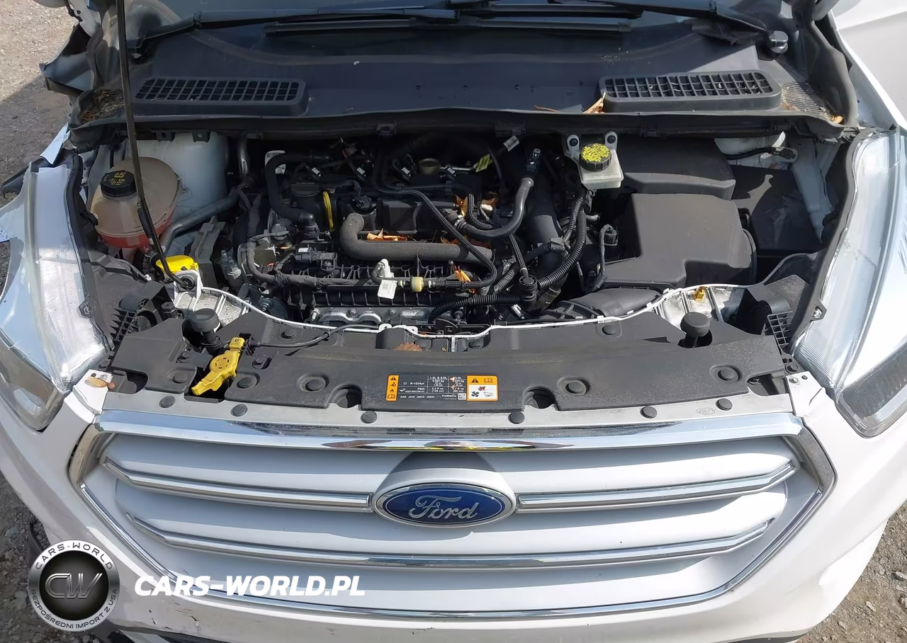 2019 Ford Escape Se VIN:1FMCU9GD5KUB51700 - 10