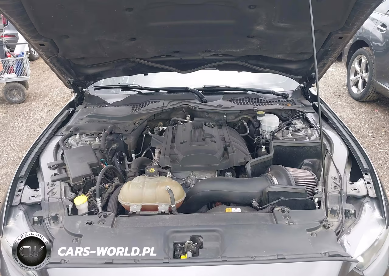 2015 Ford Mustang Ecoboost VIN:1FA6P8TH3F5351847 - 10