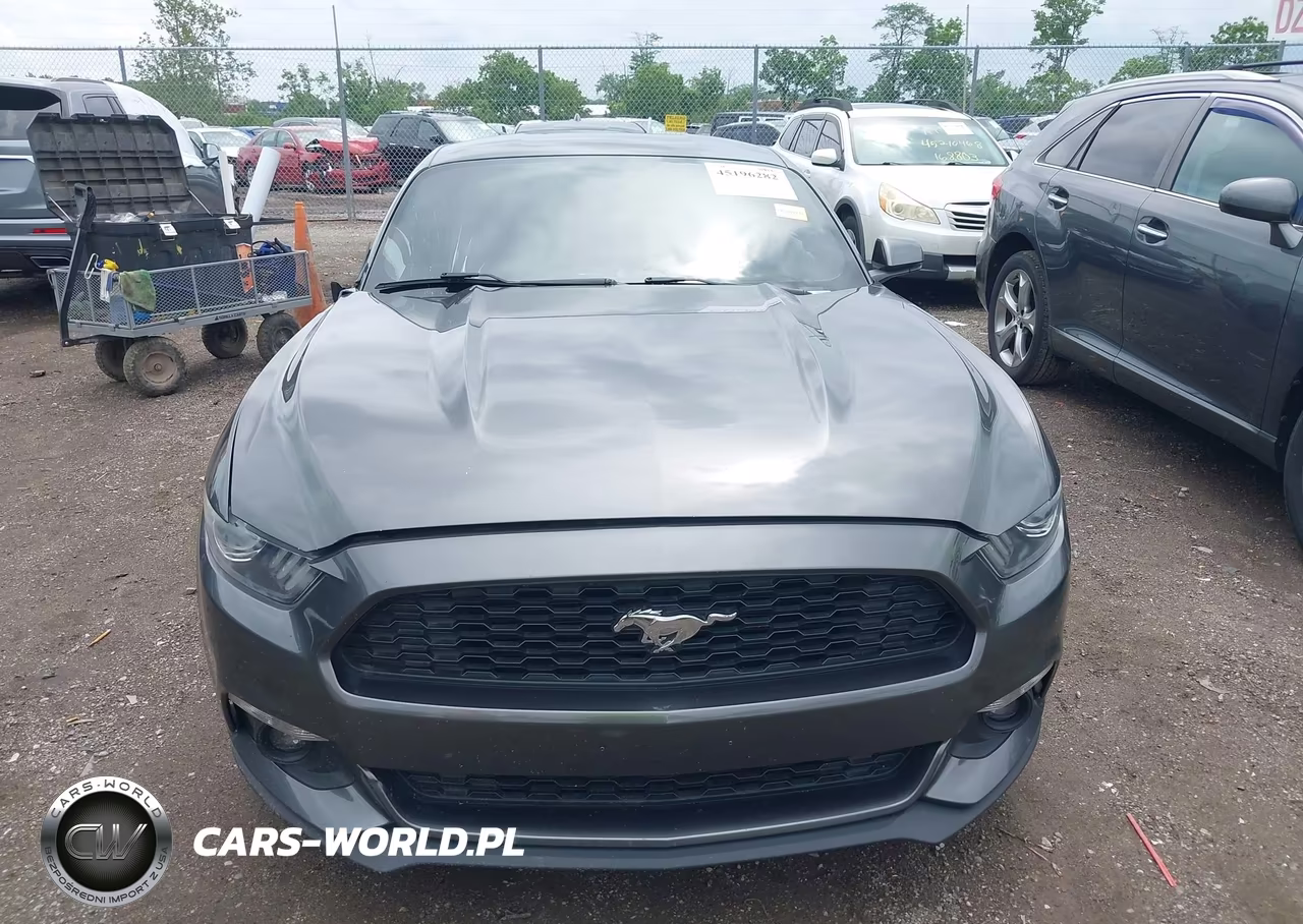 2015 Ford Mustang Ecoboost VIN:1FA6P8TH3F5351847 - 12