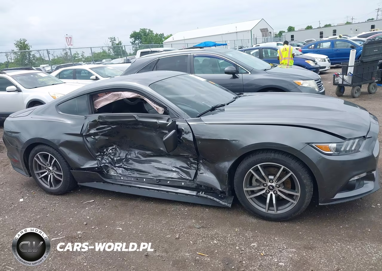 2015 Ford Mustang Ecoboost VIN:1FA6P8TH3F5351847 - 13