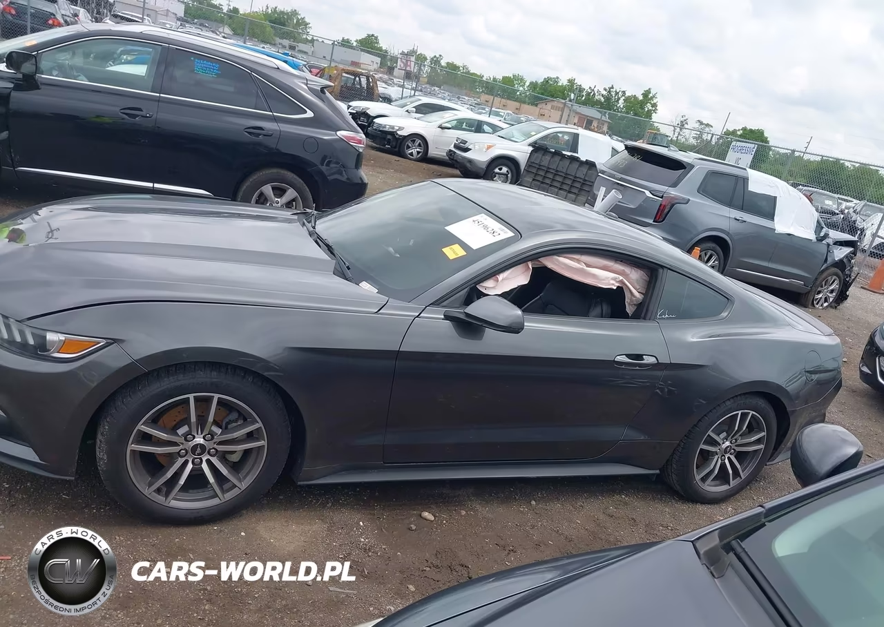 2015 Ford Mustang Ecoboost VIN:1FA6P8TH3F5351847 - 14
