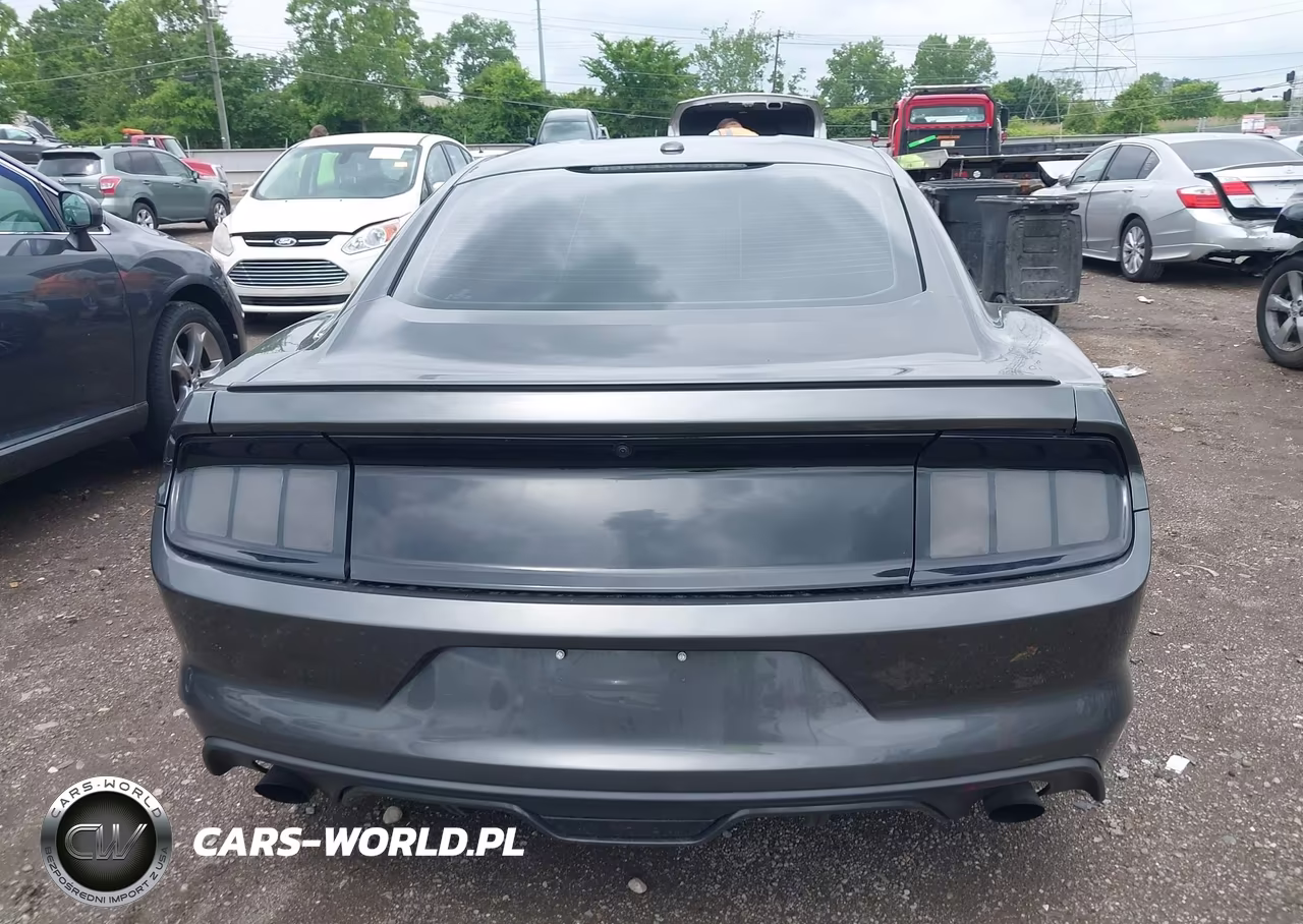 2015 Ford Mustang Ecoboost VIN:1FA6P8TH3F5351847 - 16