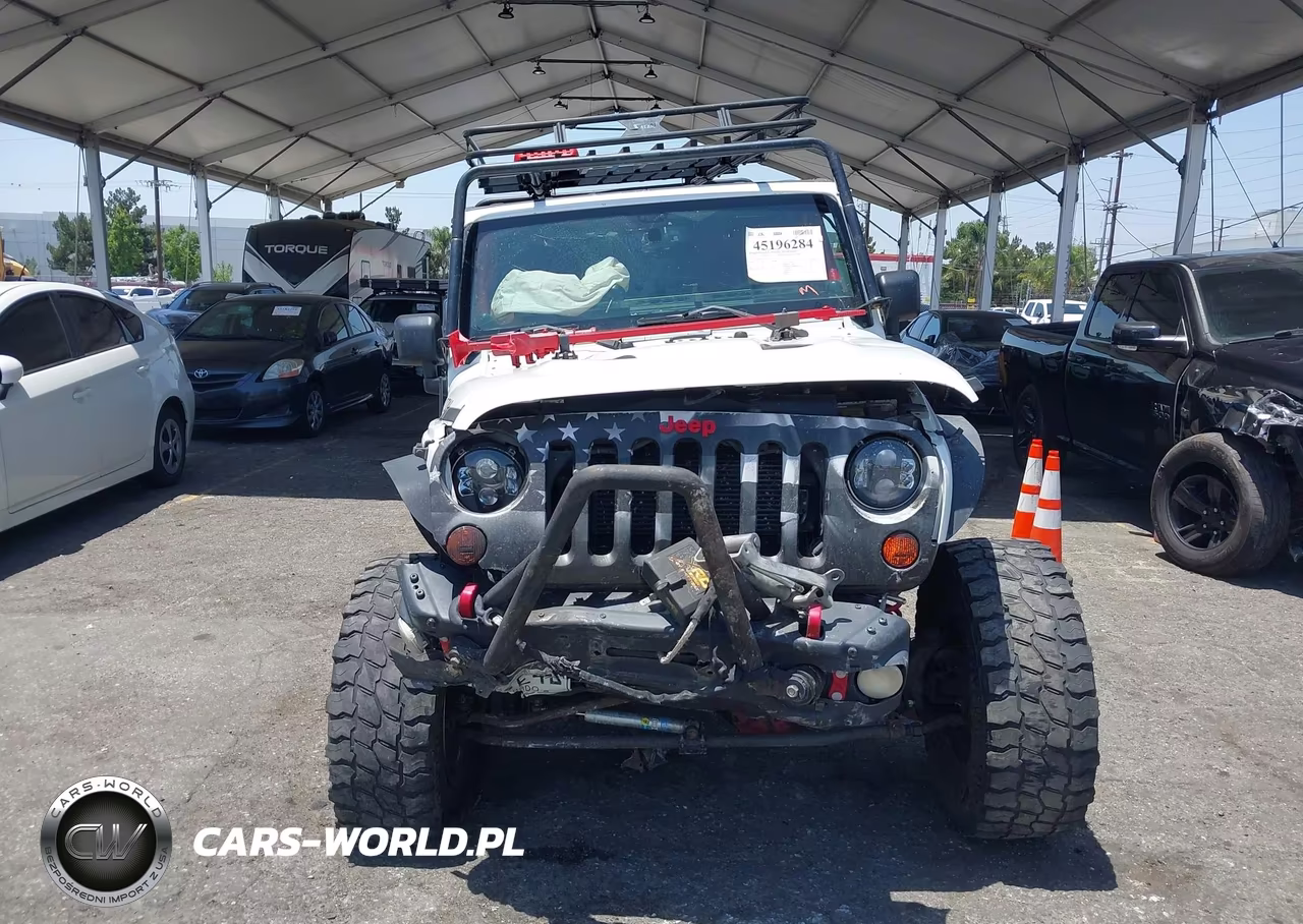 2013 Jeep Wrangler Unlimited Rubicon 10Th Anniversary VIN:1C4BJWFG0DL691225 - 12