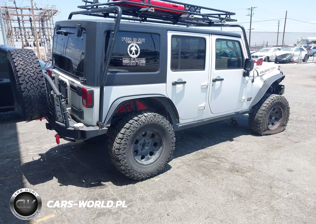 2013 Jeep Wrangler Unlimited Rubicon 10Th Anniversary VIN:1C4BJWFG0DL691225 - 4