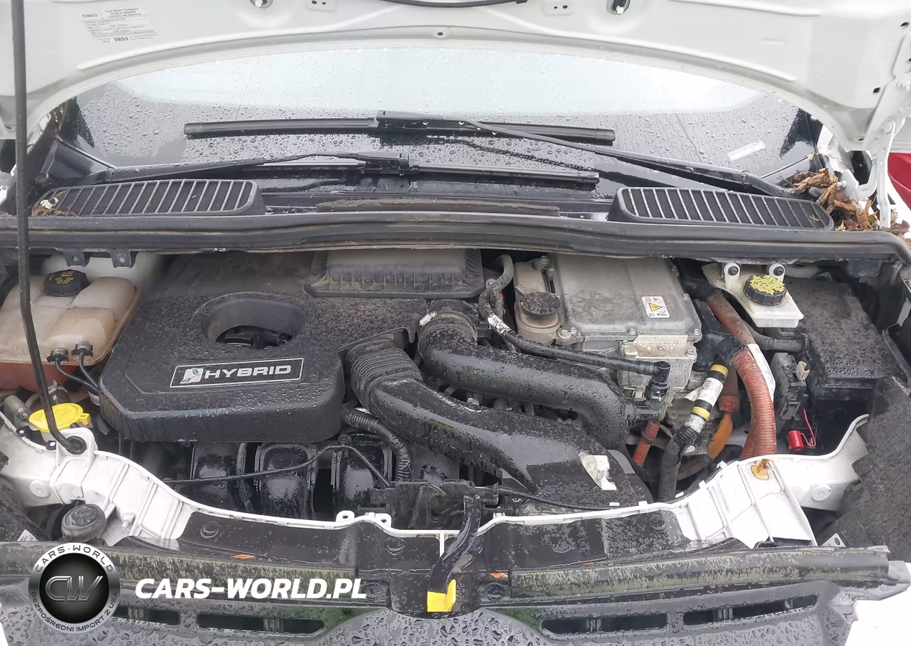 2015 Ford C-Max Hybrid Se VIN:1FADP5AU2FL107530 - 10