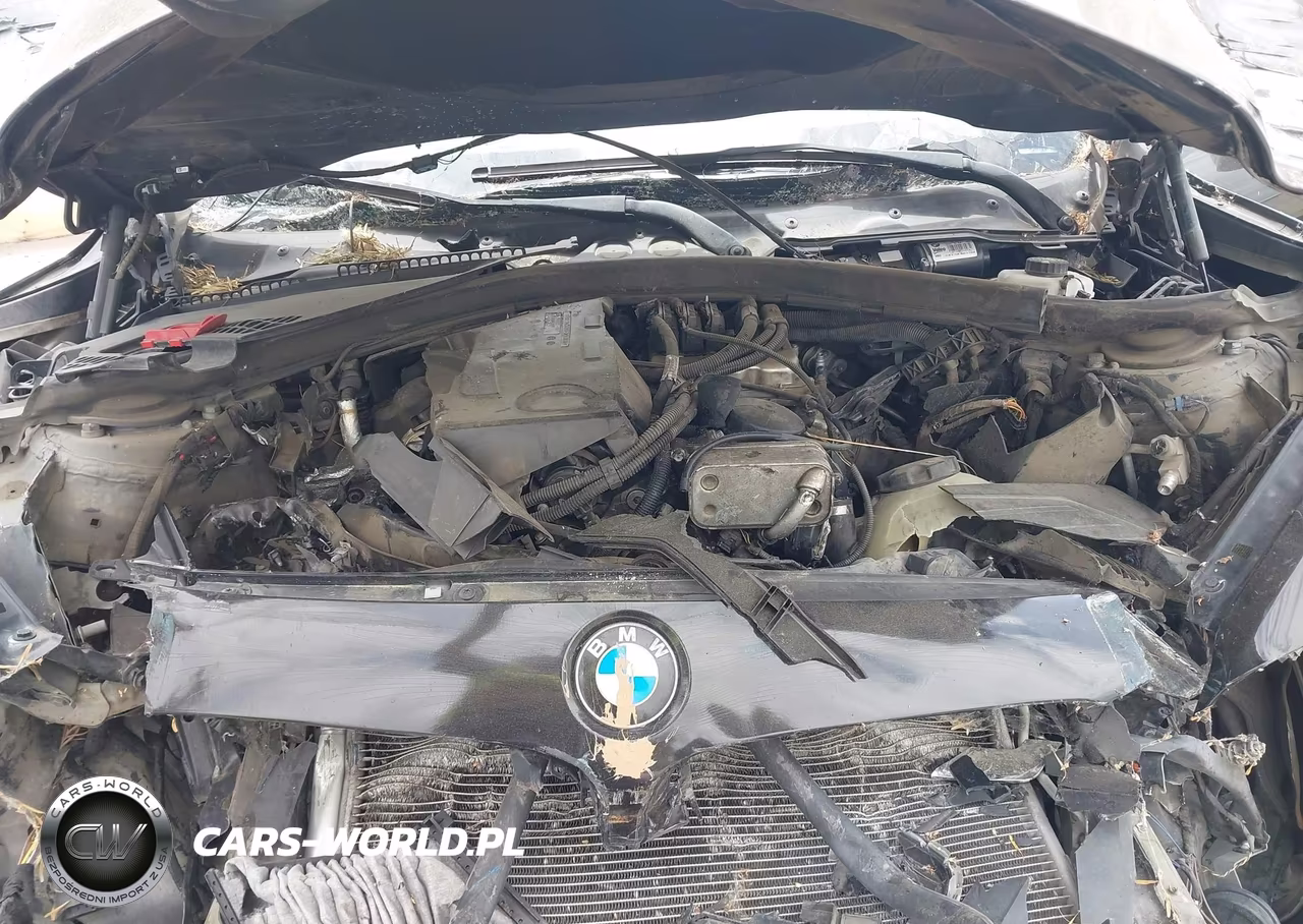 2015 BMW 428I VIN:WBA3N7C52FK223004 - 10