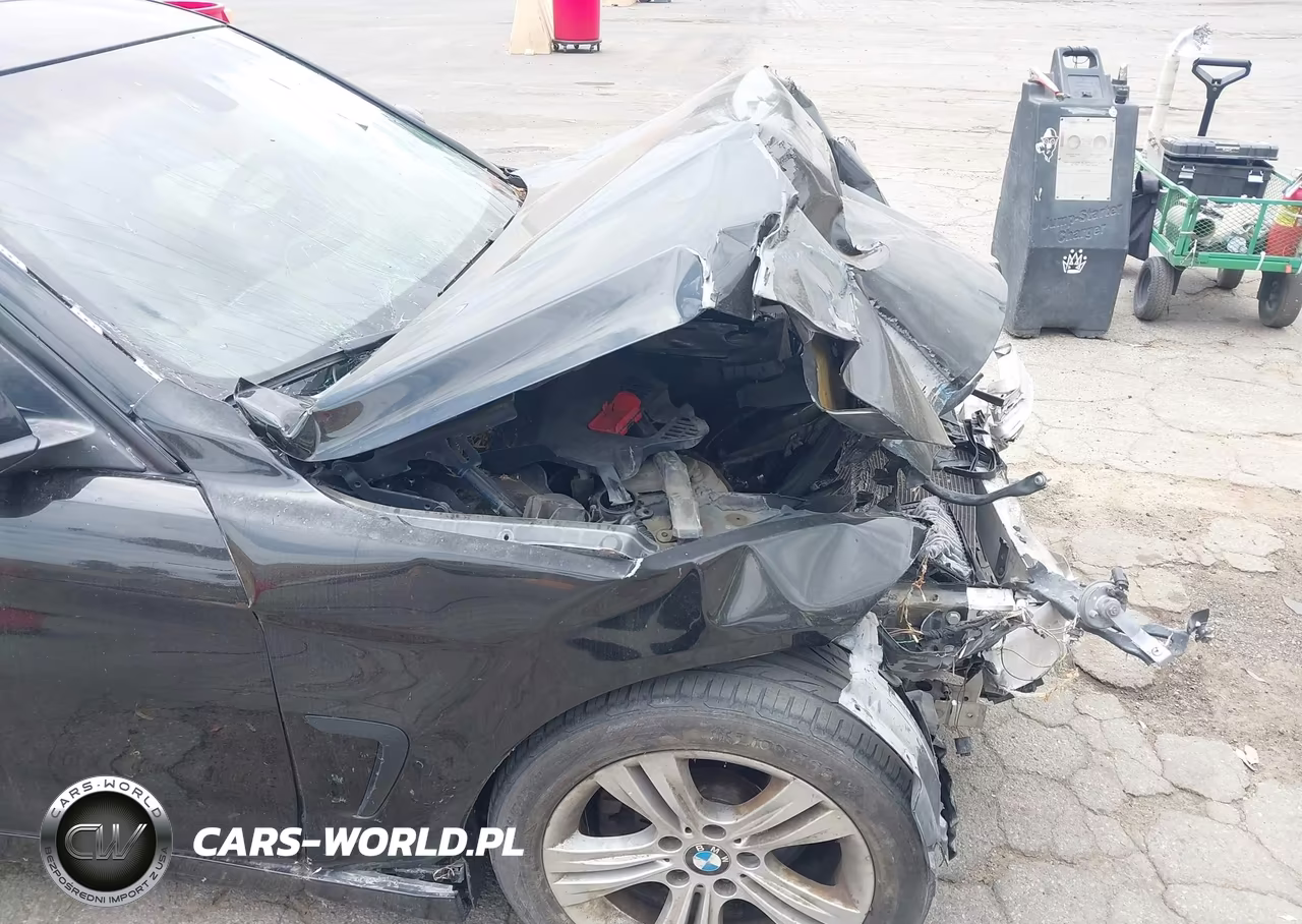 2015 BMW 428I VIN:WBA3N7C52FK223004 - 19
