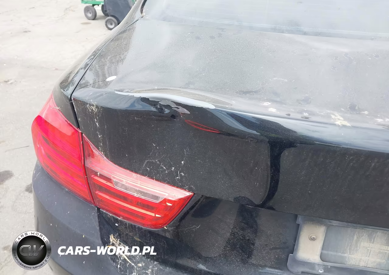 2015 BMW 428I VIN:WBA3N7C52FK223004 - 20