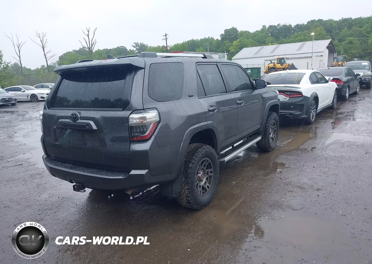 2019 Toyota 4Runner Sr5 Premium VIN:JTEBU5JRXK5736792 - 4
