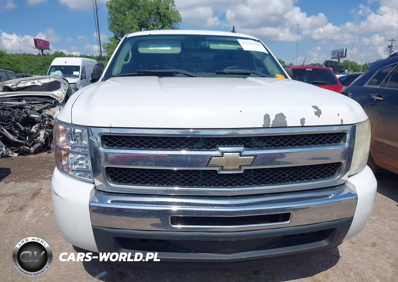 2010 Chevrolet Silverado 1500 Ls VIN:3GCRCREA8AG203610 - 12