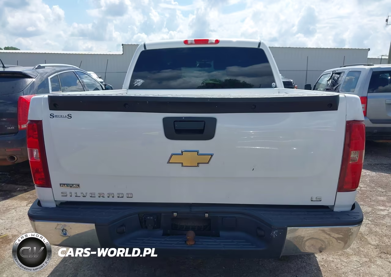 2010 Chevrolet Silverado 1500 Ls VIN:3GCRCREA8AG203610 - 16