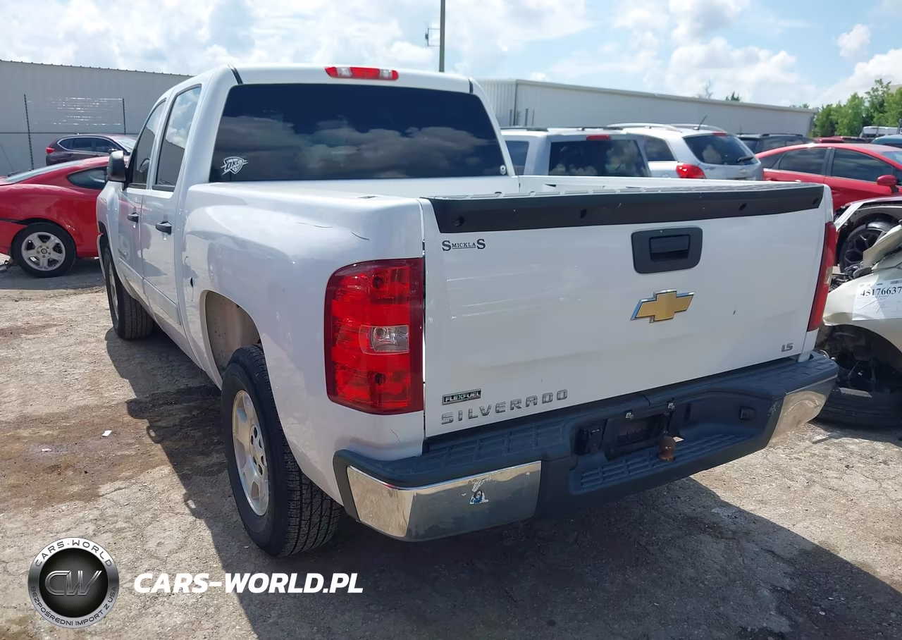 2010 Chevrolet Silverado 1500 Ls VIN:3GCRCREA8AG203610 - 3