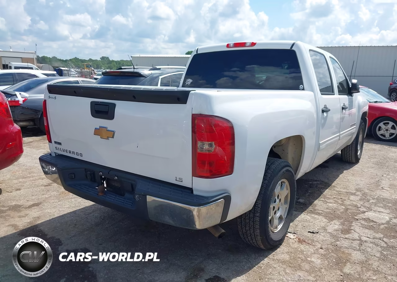 2010 Chevrolet Silverado 1500 Ls VIN:3GCRCREA8AG203610 - 4
